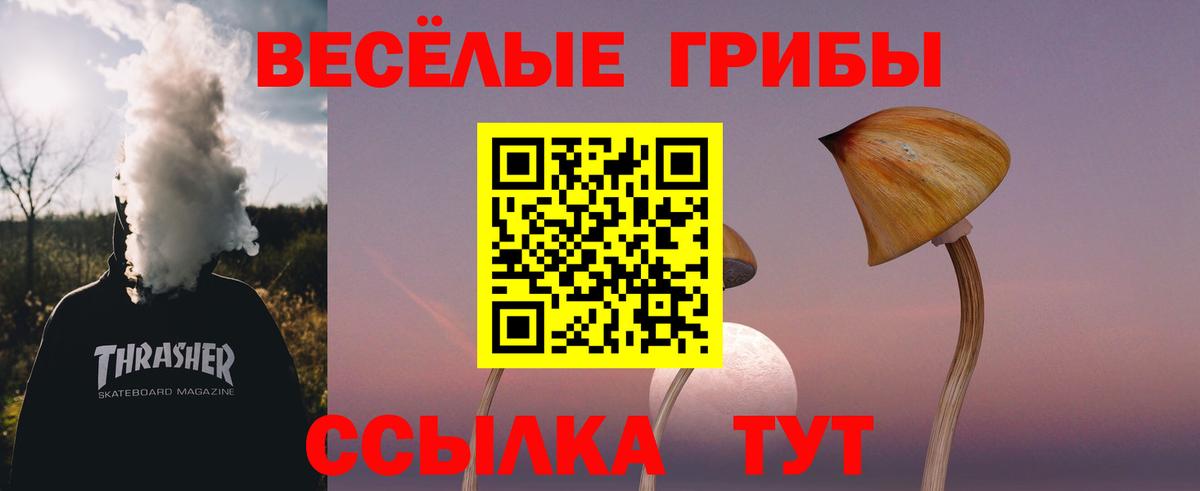 Псилоцибиновые грибы мухоморы  Вход с VPN  Заводоуковск 